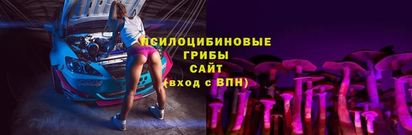 твердый Лабытнанги