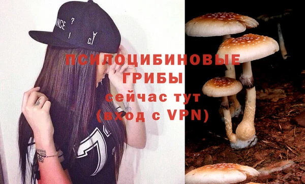 СК Лагань